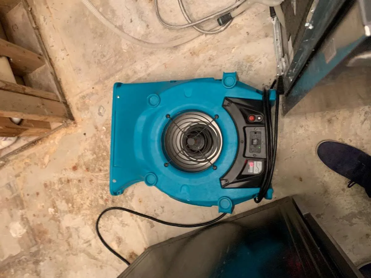 Air mover drying equipment for Mold Remediation & Removal in Long Lake